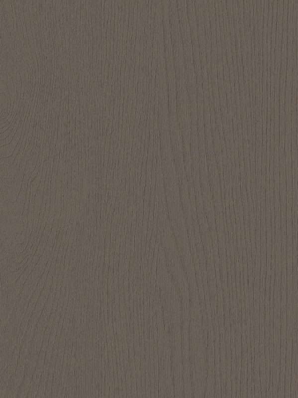PNT05 Interior Film