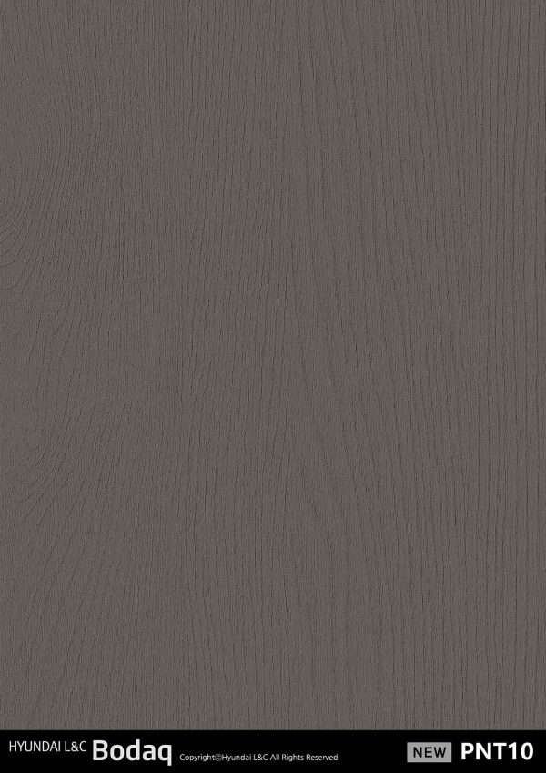 PNT10 Interior Film